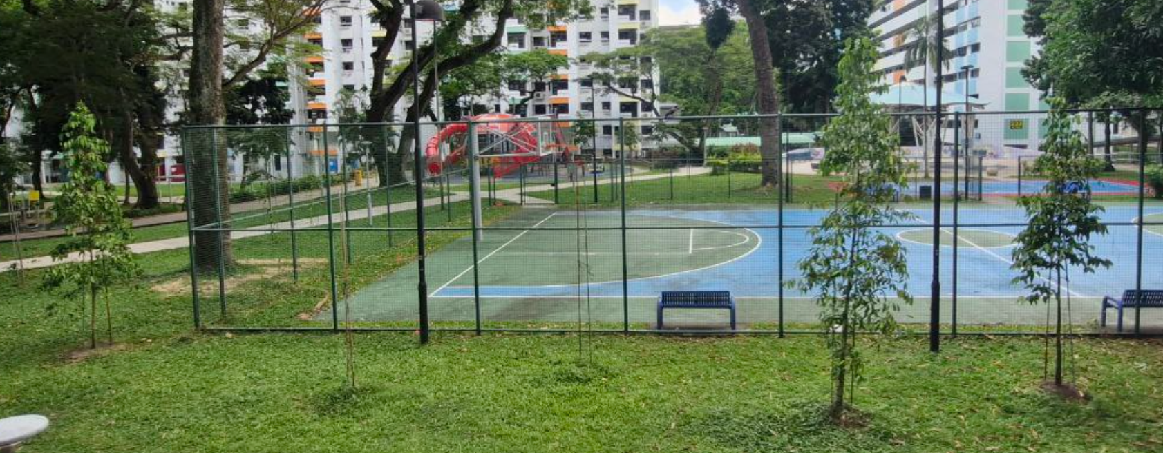 trees as of december 2025