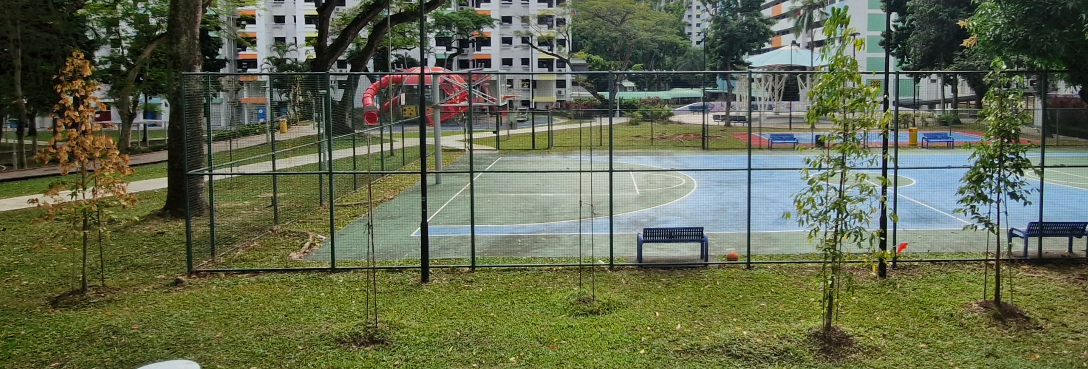 trees as of february 2026