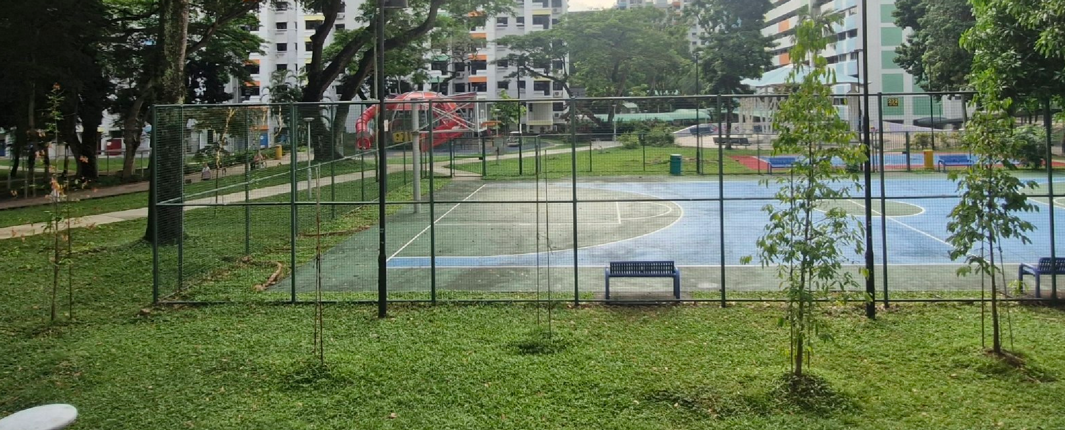 trees as of april 2026