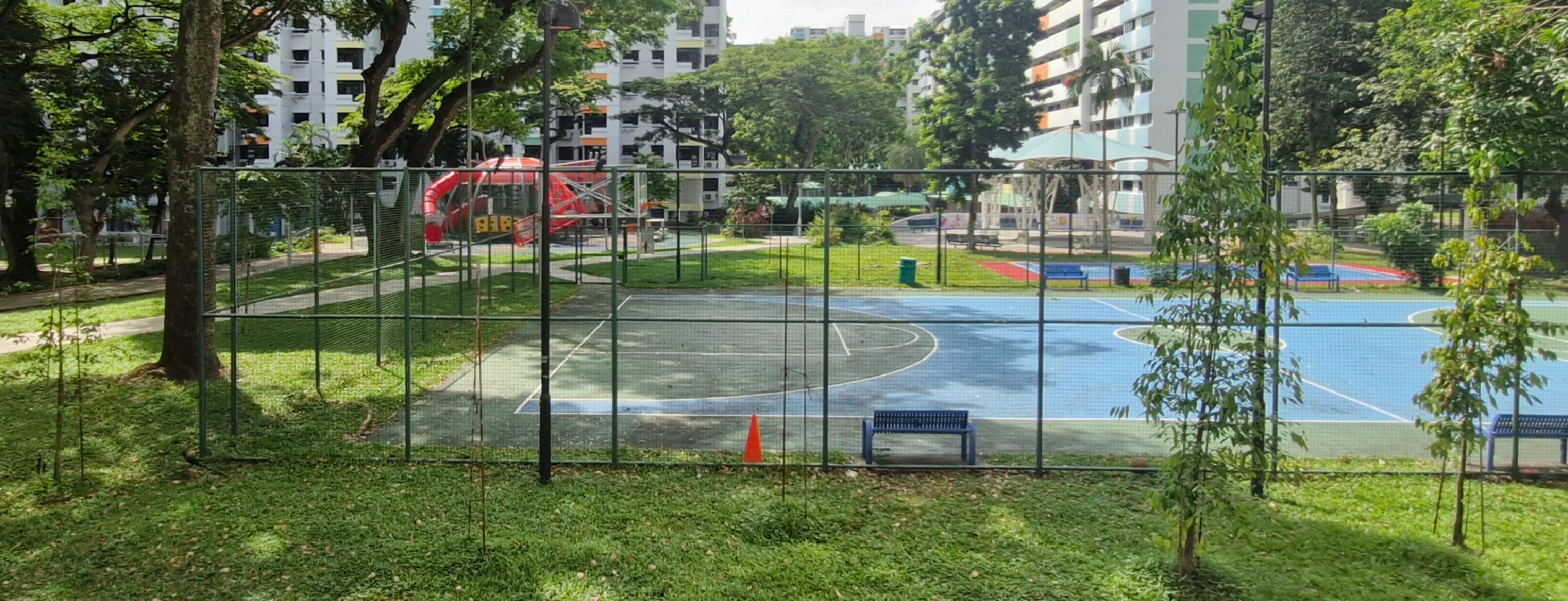trees as of june 2026